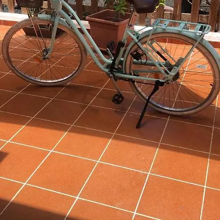 Apartament Mimosas Sol *